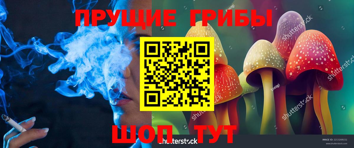 Галлюциногенные грибы Psilocybine cubensis Обь